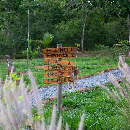 Nativo Glamping Hotell Barichara Exteriör bild