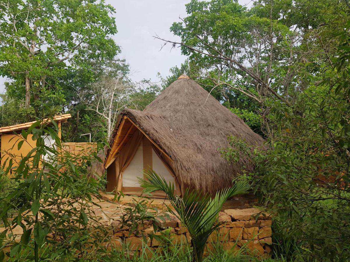 Nativo Glamping Hotell Barichara Exteriör bild
