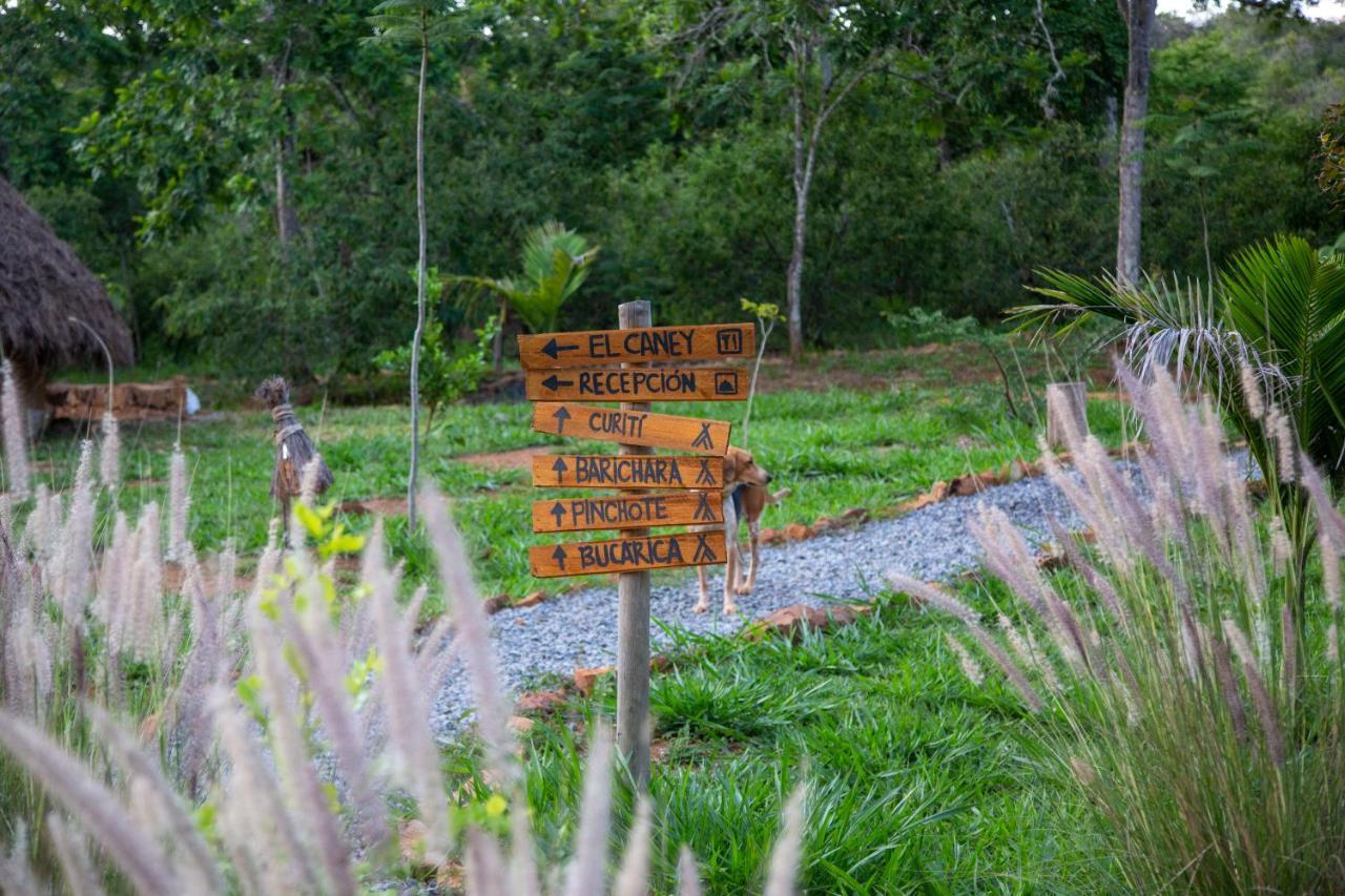Nativo Glamping Hotell Barichara Exteriör bild