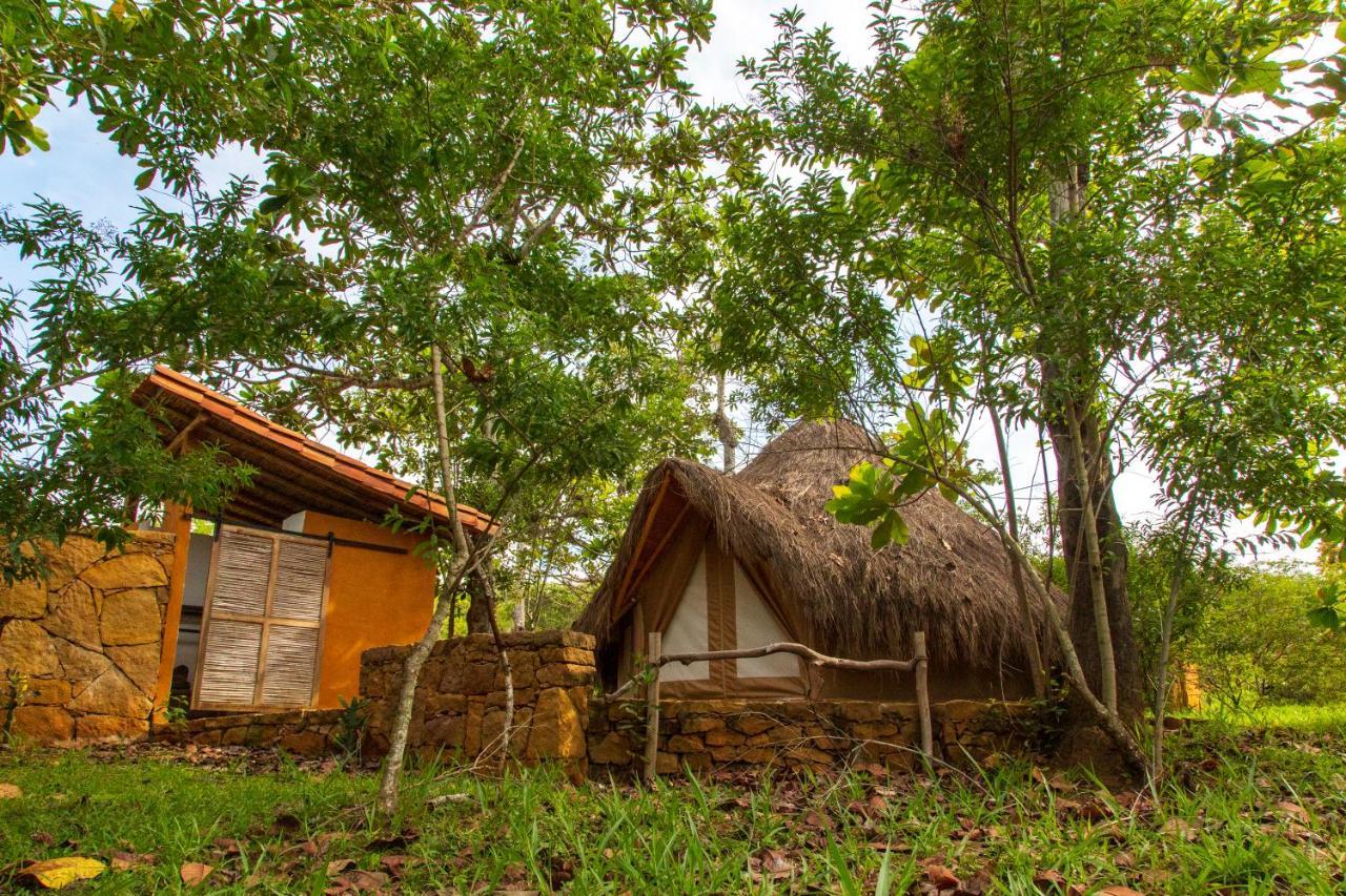 Nativo Glamping Hotell Barichara Exteriör bild