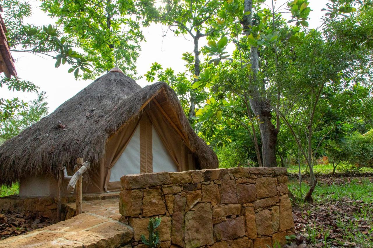 Nativo Glamping Hotell Barichara Exteriör bild
