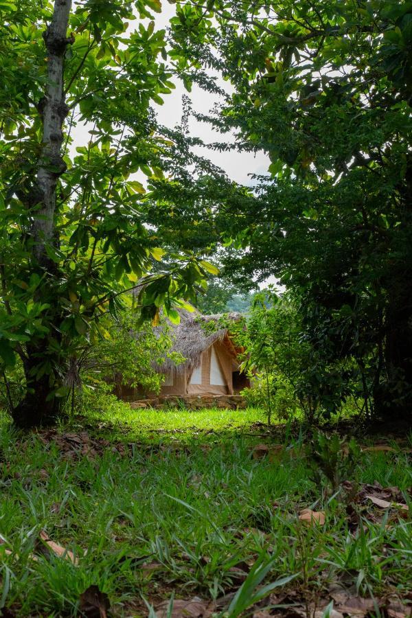 Nativo Glamping Hotell Barichara Exteriör bild