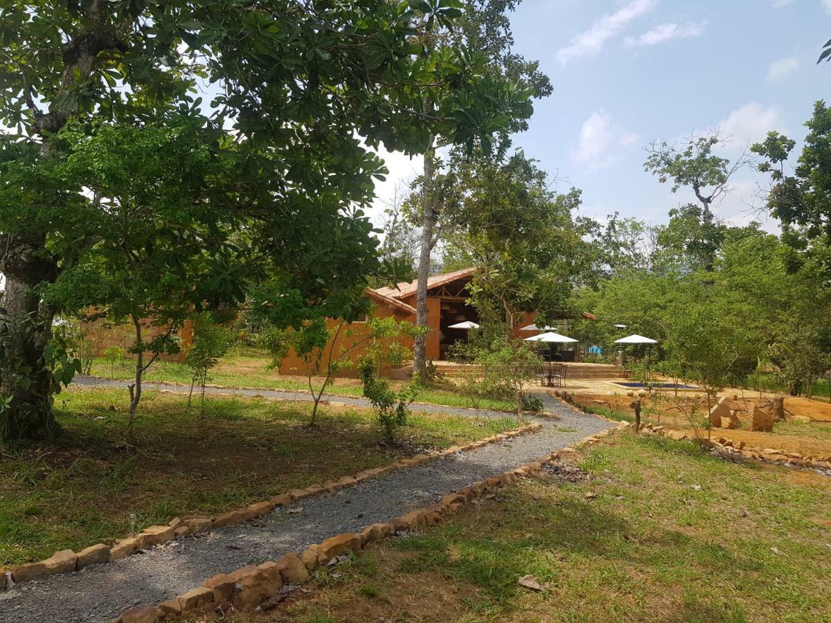 Nativo Glamping Hotell Barichara Exteriör bild